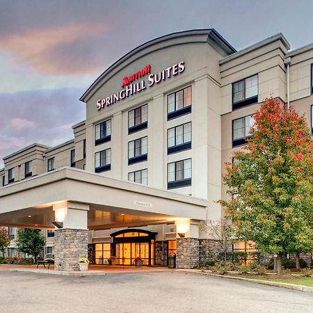 Springhill Suites By Marriott Wheeling Triadelphia Area Exteriör bild